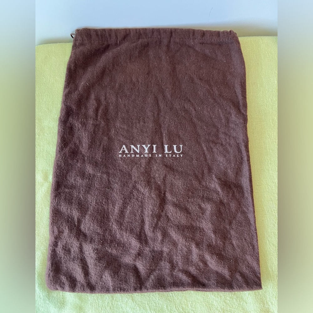 Anyi Lu brown dust bag